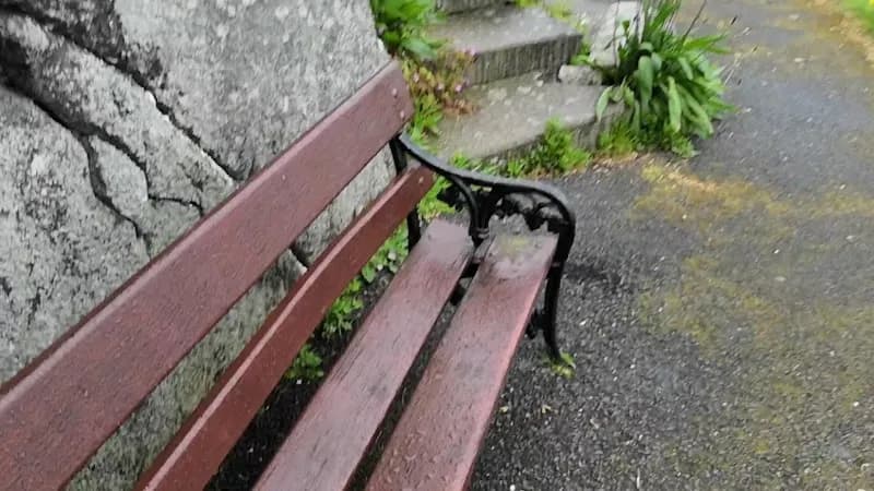 View of Dillon's Garden Centre Cafe in Dalkey, D