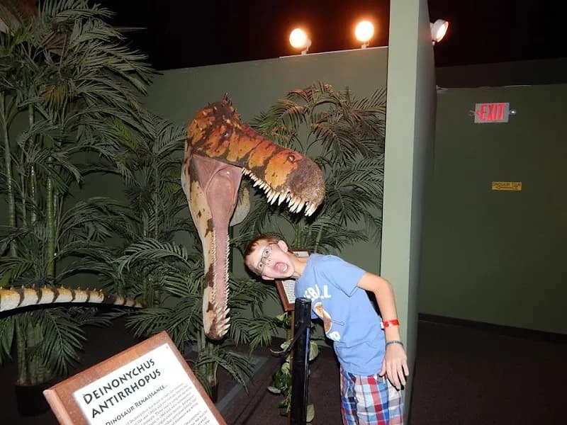 Dinosaur Museum museum in Branson, MO