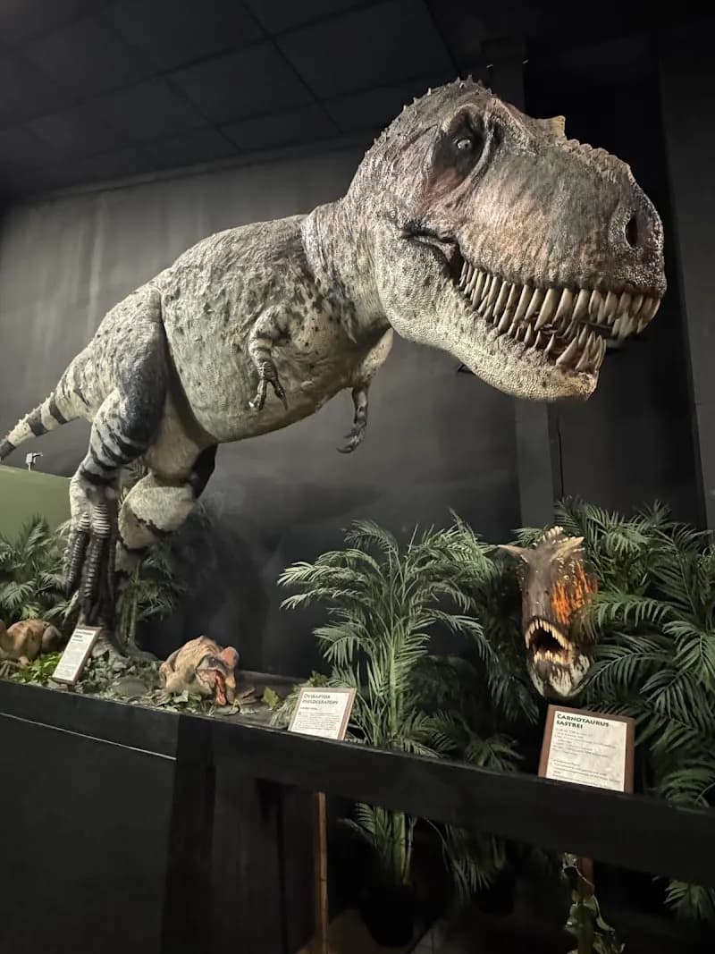 View of Dinosaur Museum in Branson, MO