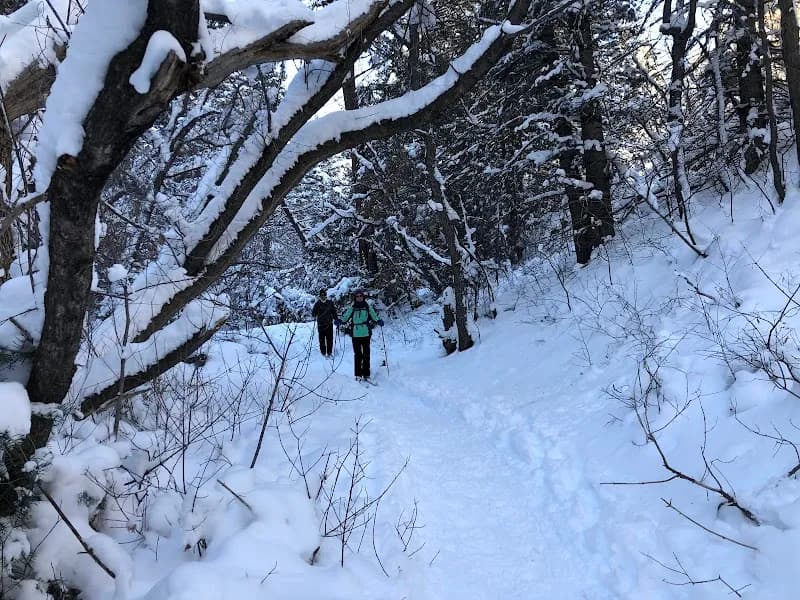 View of DOC LONG PICNIC AREA in Cedar Crest, NM