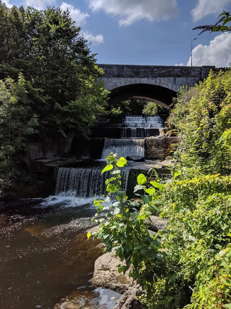 View of Dodder Valley Park in Ballsbridge, D