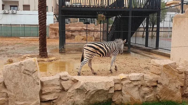 Doha Zoo zoo in Doha, DOH