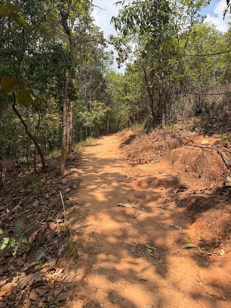 View of Doi Suthep Hiking Trail (Wat Pha Lat) in Suthep, CM