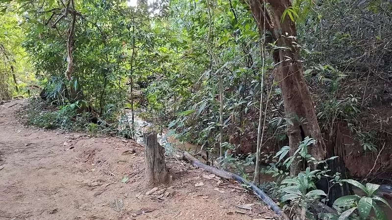 View of Doi Suthep Hiking Trail (Wat Pha Lat) in Suthep, CM