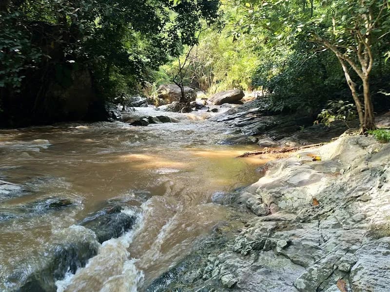 Doi Suthep-Pui National Park national park in Mae Rim, CM