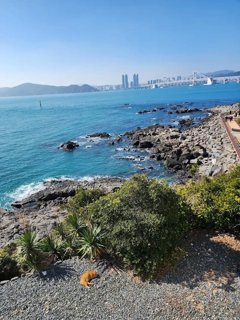 Dongbaek Park park in Busan, BSN