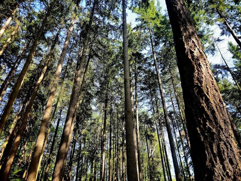 View of Dottie Harper Park in Burien, WA