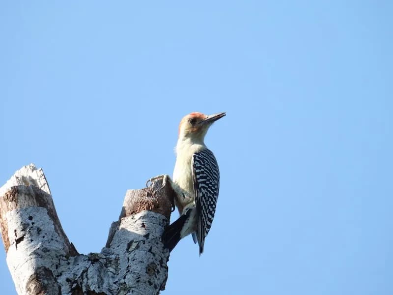 View of Dr Ned and Fay Dudney Clear Creek Nature Center in League City, TX