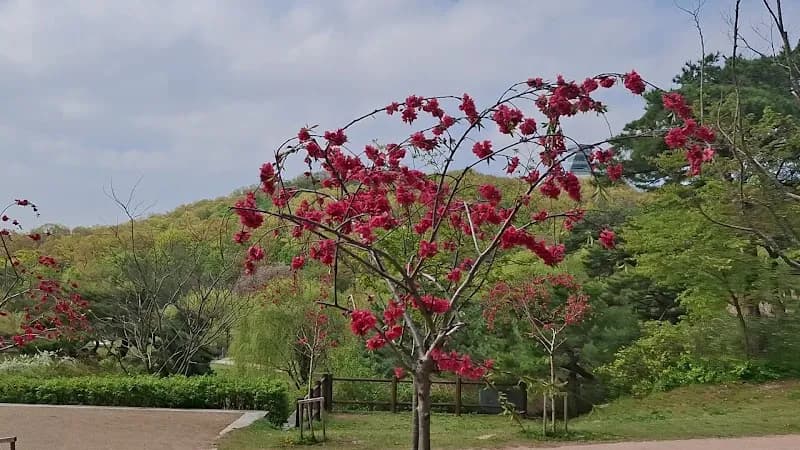 View of Dream Forest Park in Hanam, GG