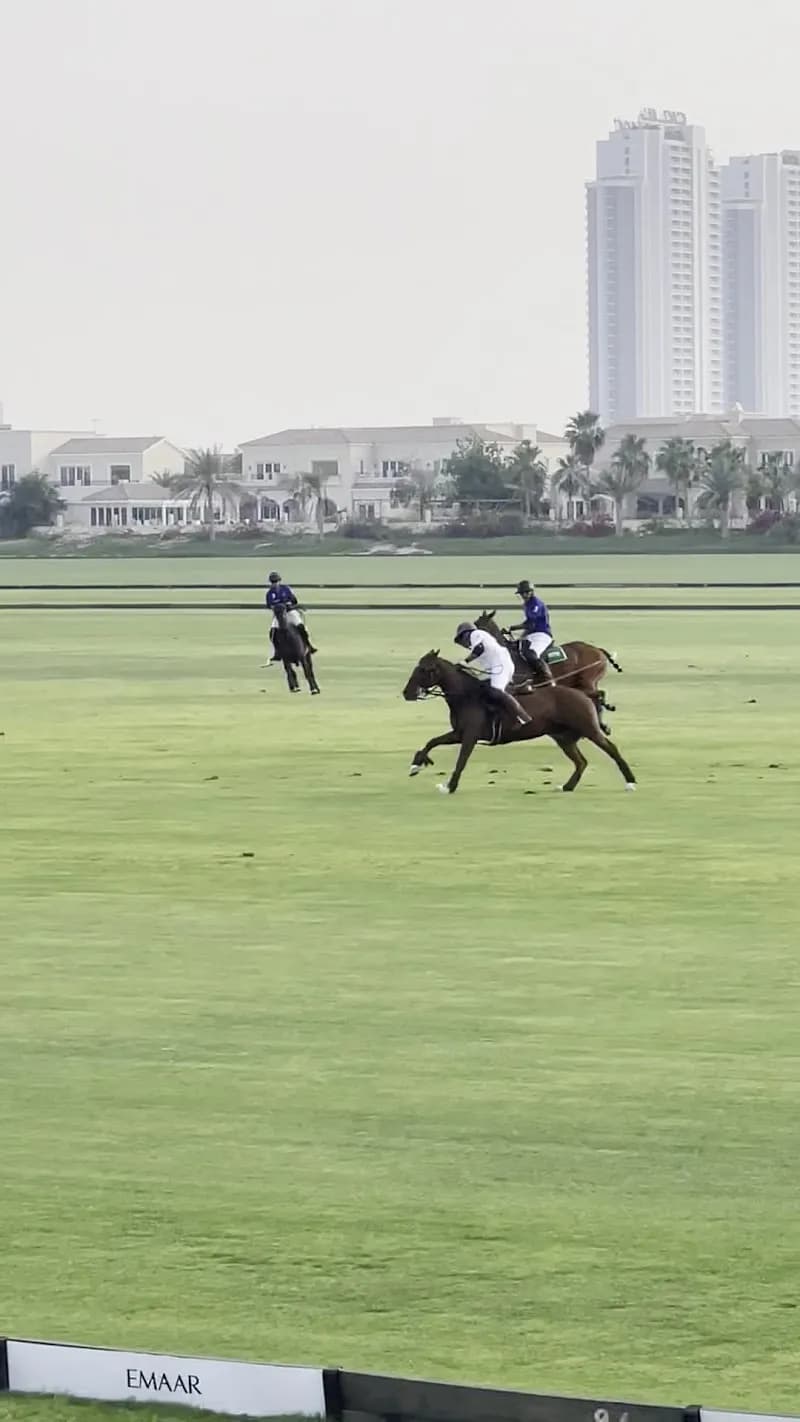 View of Dubai Polo & Equestrian Club in Jumeirah, Dubai
