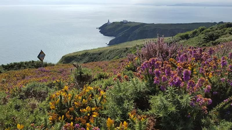 View of Dublin Food Porn in Howth, D