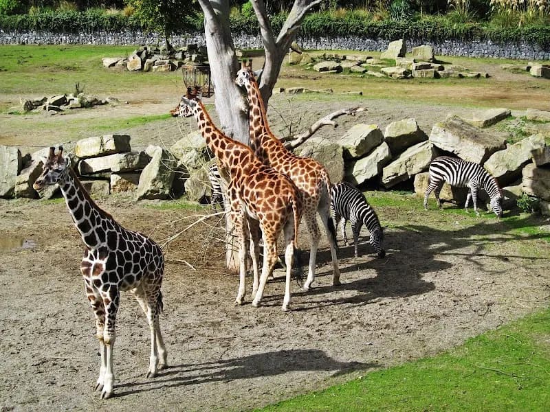 View of Dublin Zoo in Dublin, DUB
