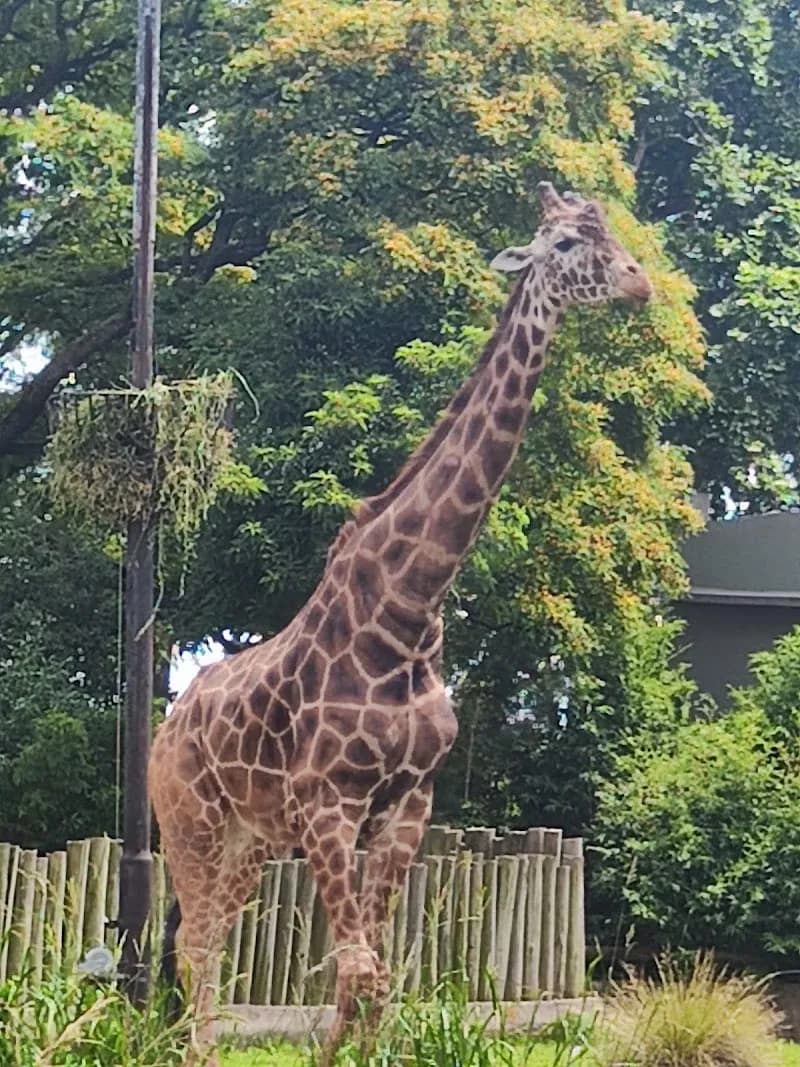 Ecoparque ex Zoo de palermo zoo in Palermo, BA