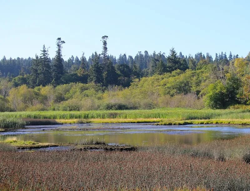 Edmonds Marsh tourist attraction in Edmonds, WA