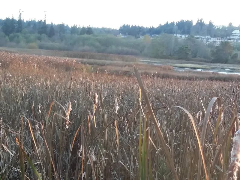 View of Edmonds Marsh in Edmonds, WA