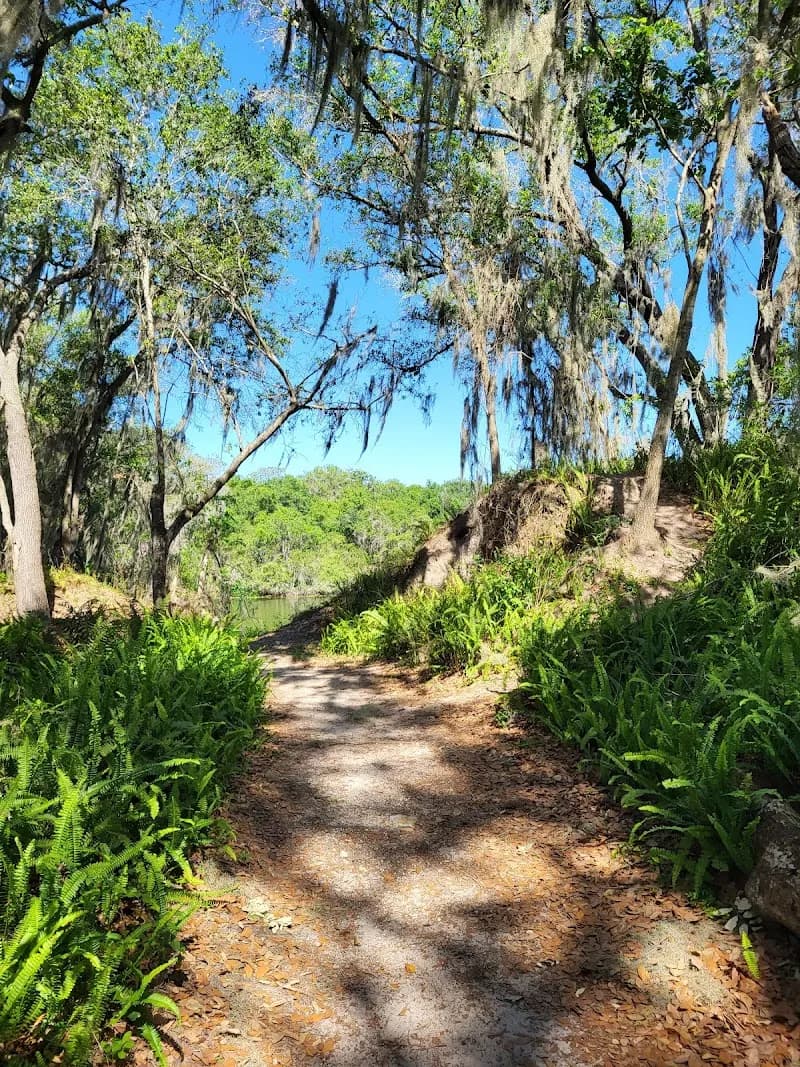 View of Edward Medard Conservation Park in Brandon, FL