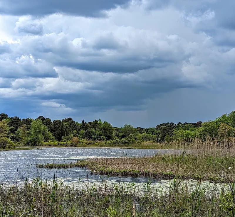 Edwin B. Forsythe National Wildlife Refuge wildlife refuge in Atlantic City, NJ