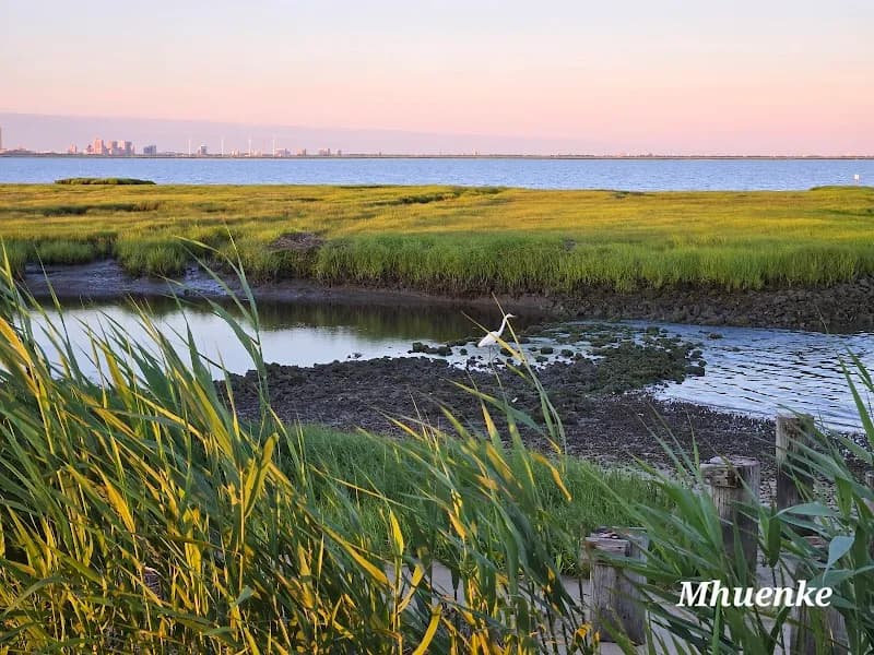 View of Edwin B. Forsythe National Wildlife Refuge in Atlantic City, NJ