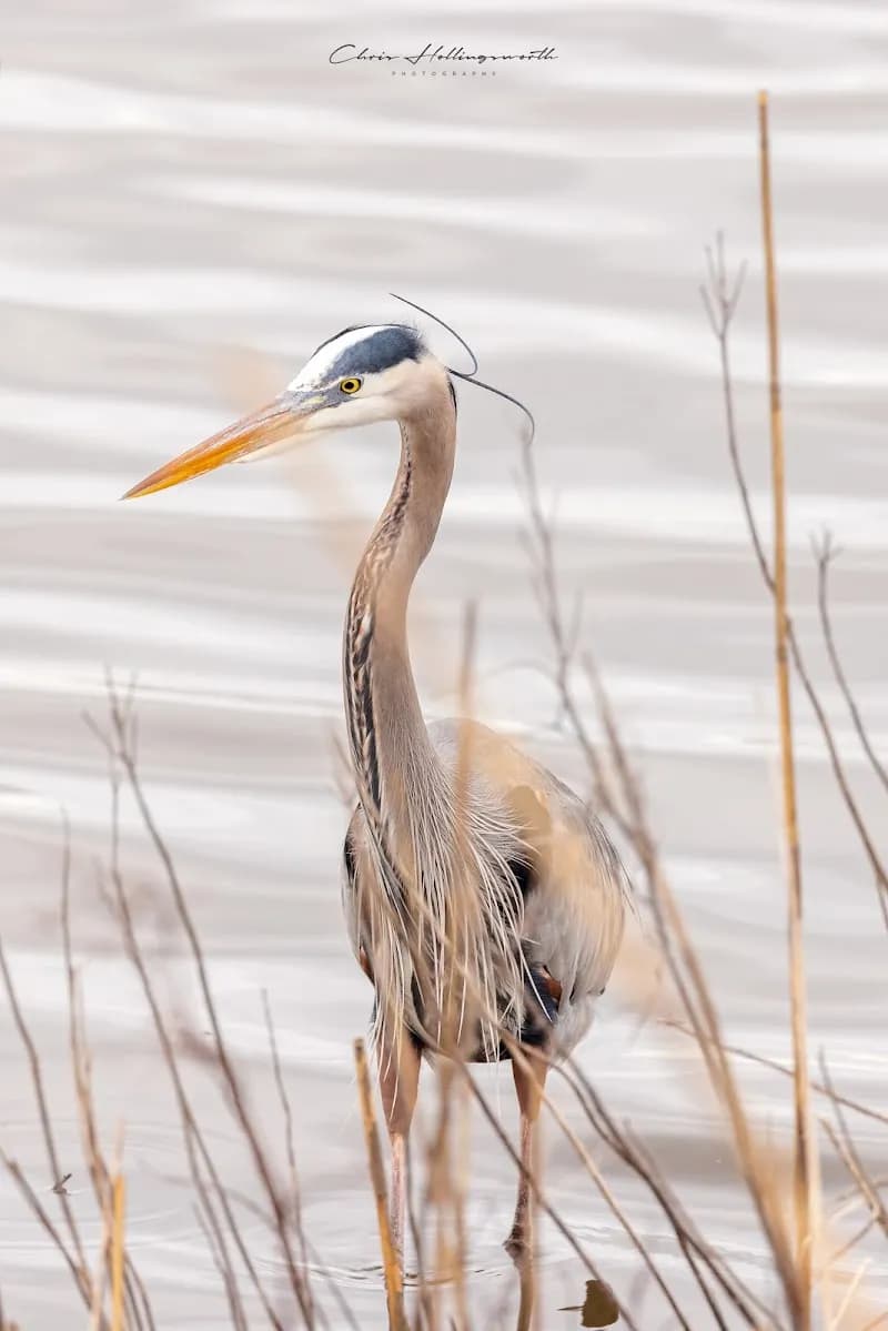 View of Edwin B. Forsythe National Wildlife Refuge in Atlantic City, NJ