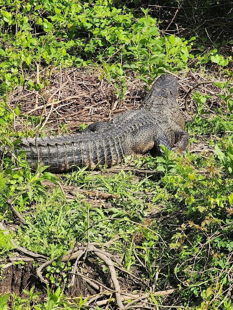Egan's Creek Greenway Trail hiking area in Fernandina Beach, FL