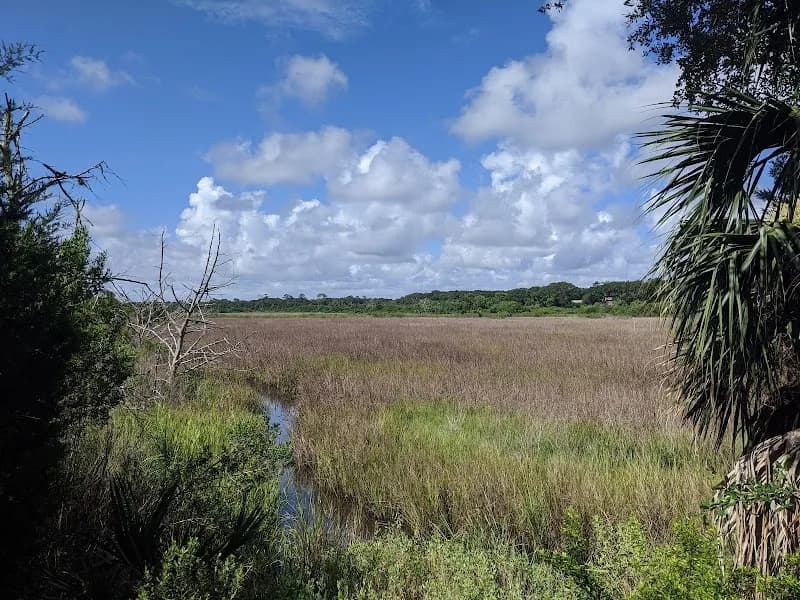 View of Egan's Creek Greenway Trail in Fernandina Beach, FL