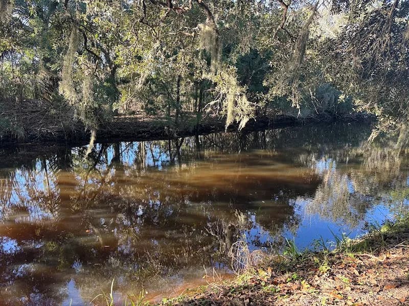 View of Egan's Creek Greenway Trail in Fernandina Beach, FL