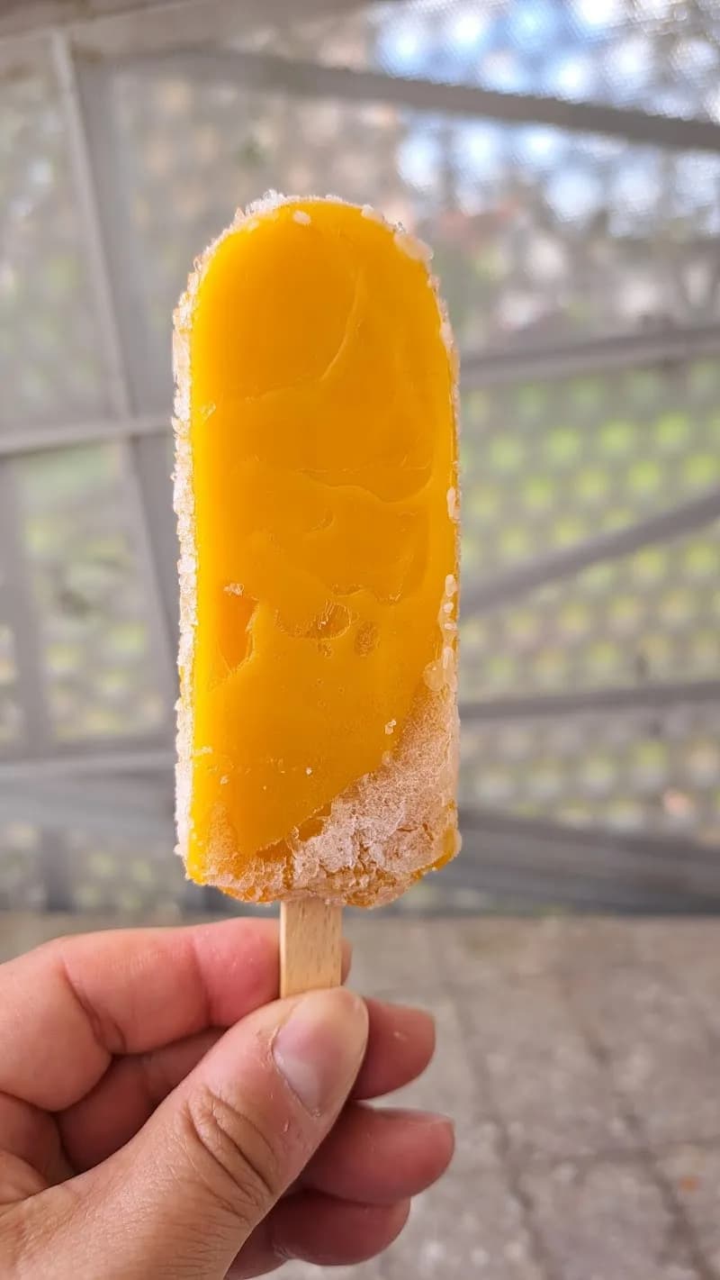 View of Eissalon Göming in Göming, Salzburg