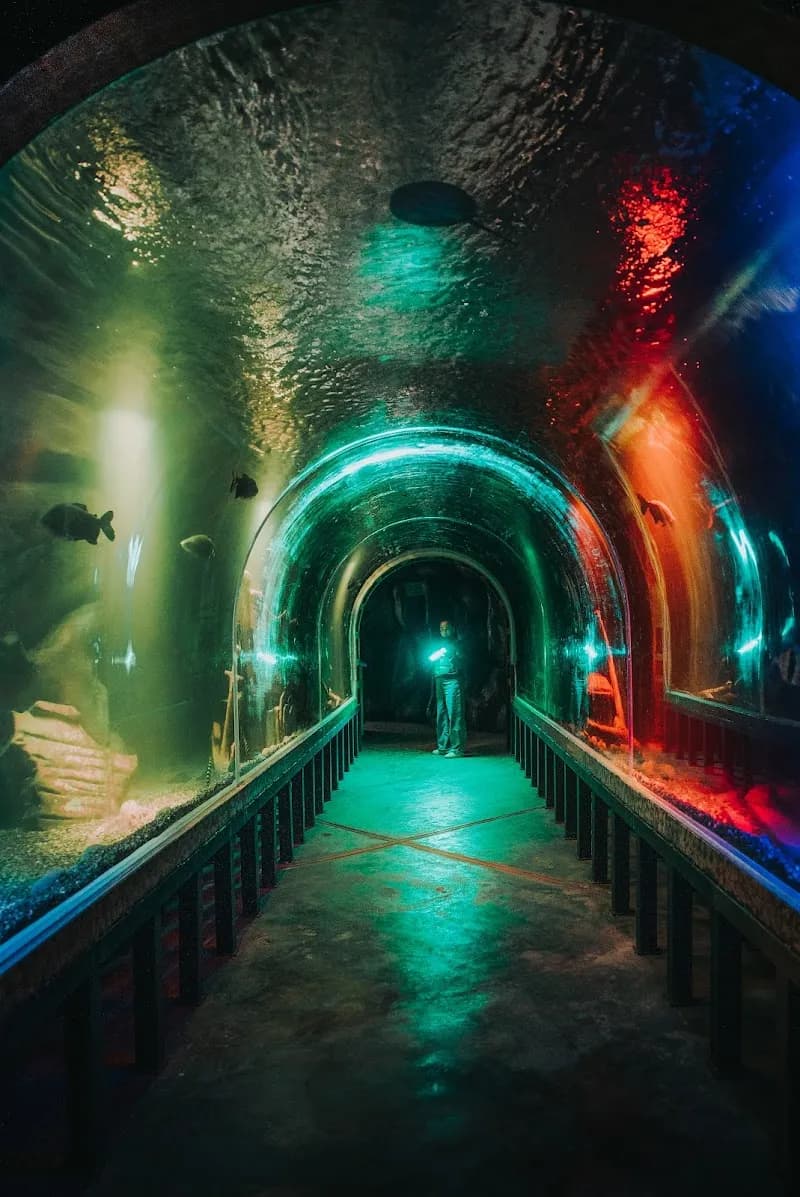 El Parque de la Imaginación aquarium in Santa María del Mar, Lima