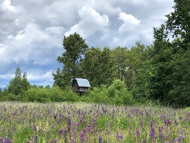 Elgin Heritage Park park in Surrey, BC