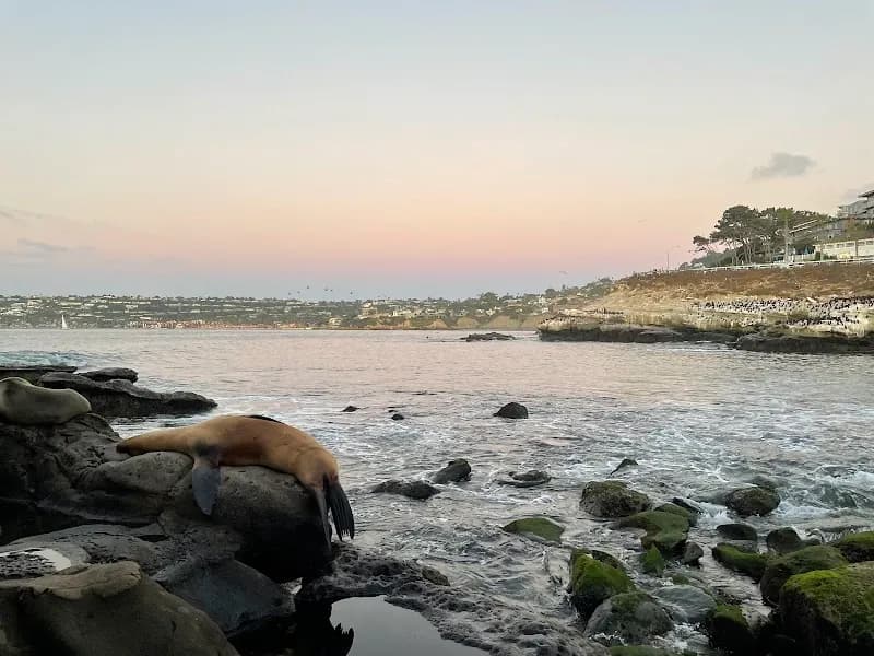 View of Ellen Browning Scripps Park in La Jolla, CA