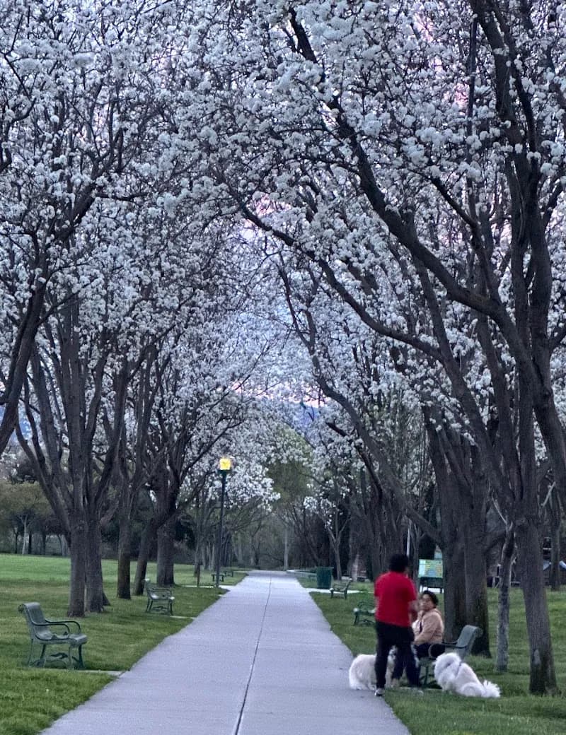 View of Emerald Glen Park in Dublin, CA