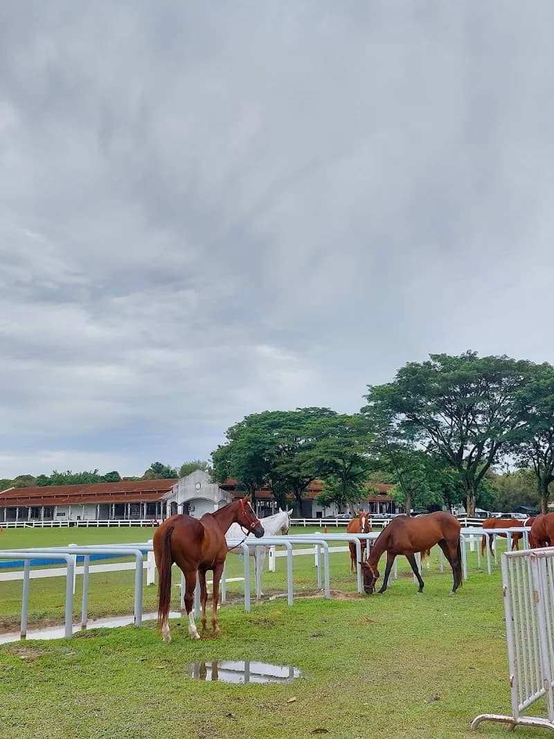 View of Equestrian Park Putrajaya in Putrajaya, FT