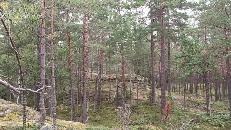 View of Erstavik in Nacka, Stockholm