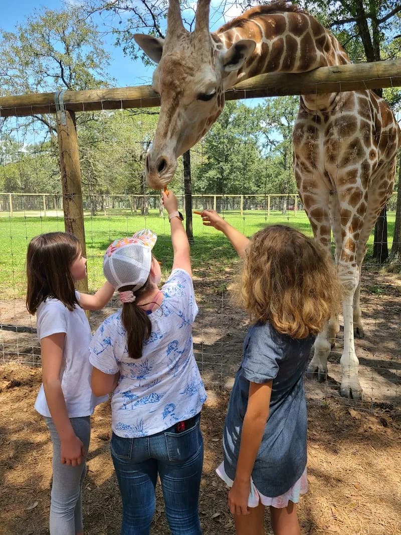 View of Eudora Wildlife Safari Park in Augusta, GA
