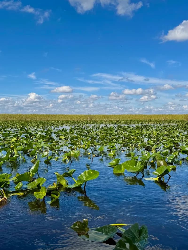 View of Everglades Holiday Park Airboat Tours and Rides in Miami, FL