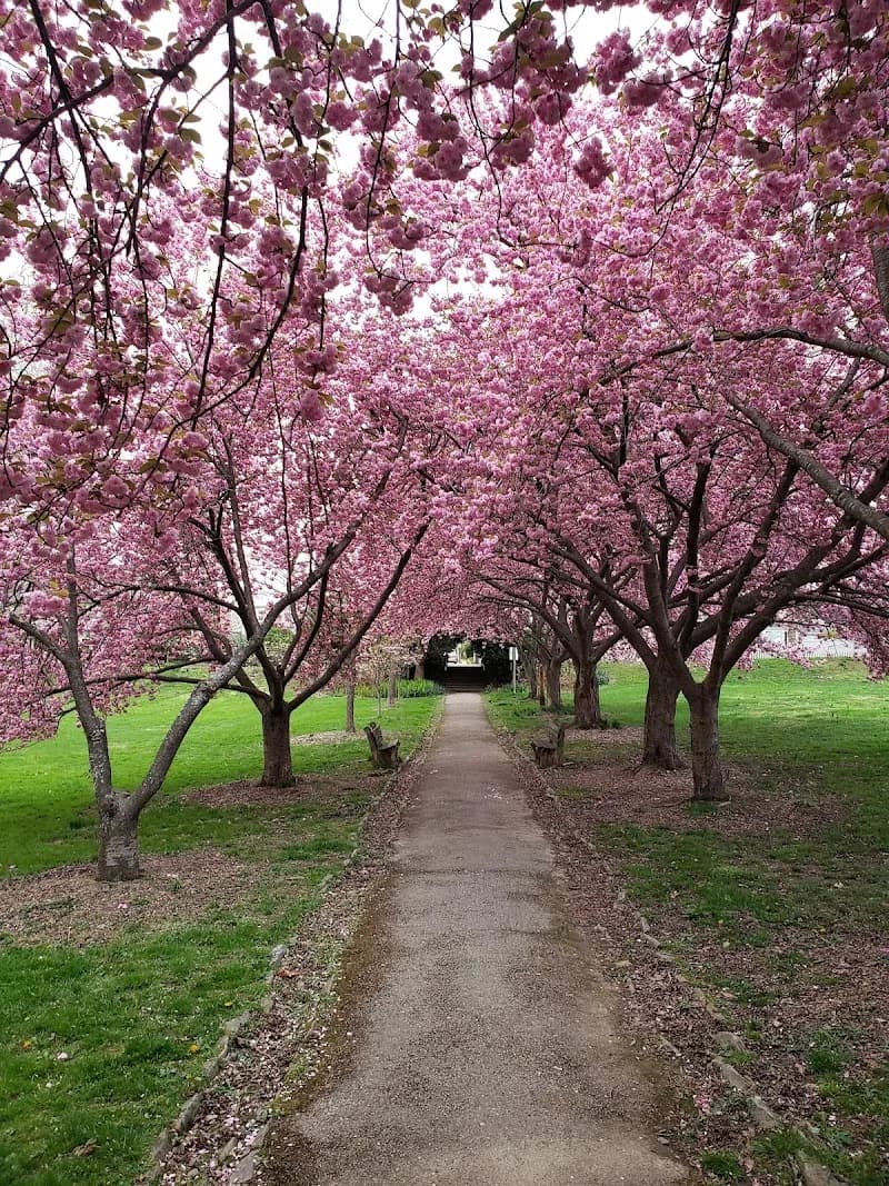 Everhart Park park in Scranton, PA