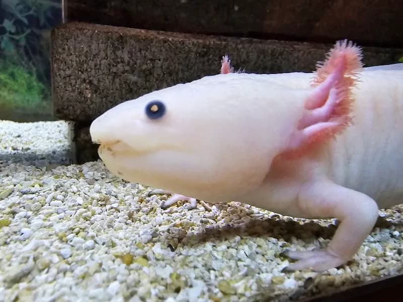 View of Explora Science Center and Children's Museum of Albuquerque in Old Town, NM