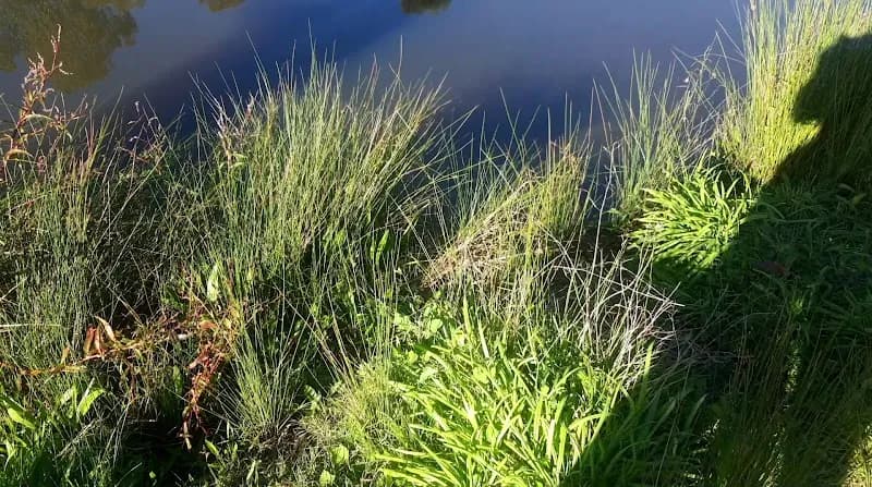 View of Fairway Reserve in Mount Waverley, VIC