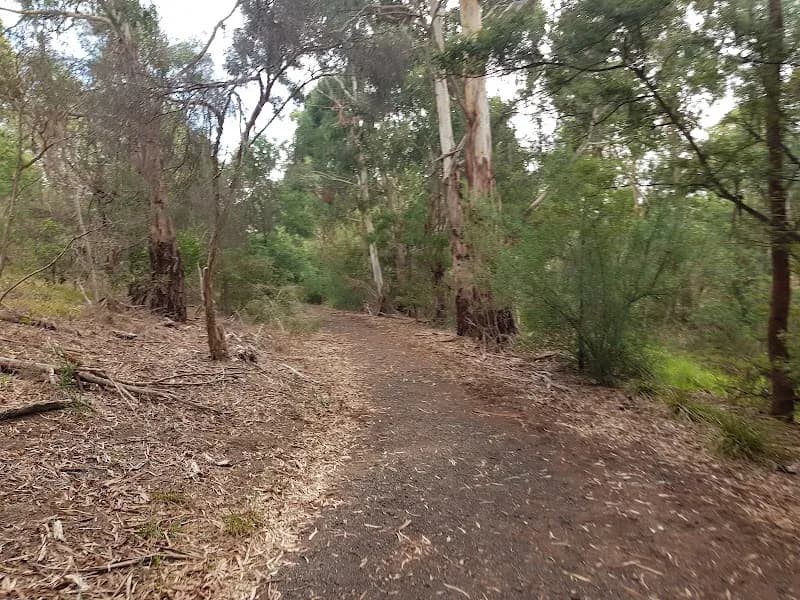 View of Fairway Reserve in Mount Waverley, VIC