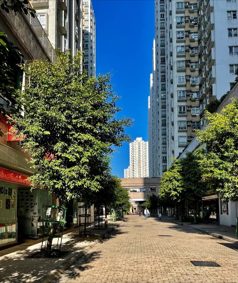 View of Fanling Centre Blk E in Fanling, HK