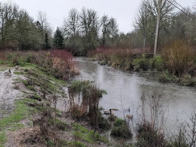 View of Fanno Creek Park in Tigard, OR