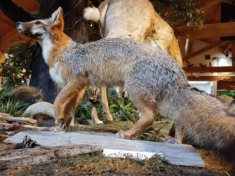 View of Farmington Hills Nature Center in Farmington Hills, MI