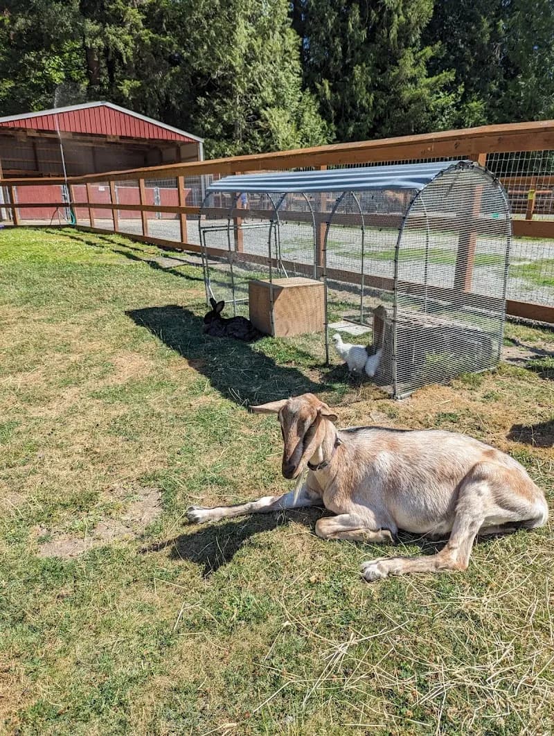 View of Farrel-McWhirter Park in Redmond, WA