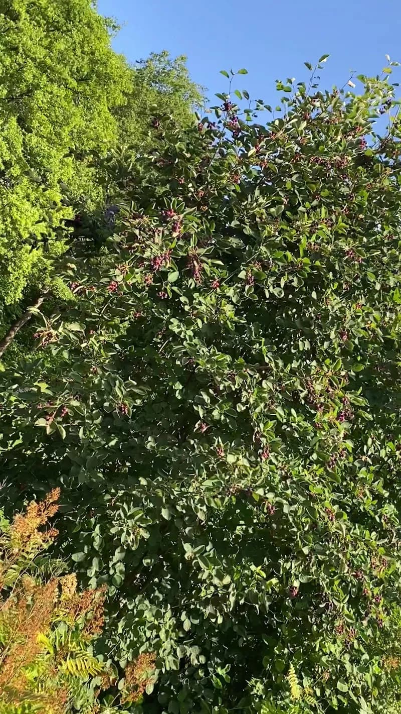 View of Farstaängens parklek in Farsta, Stockholm