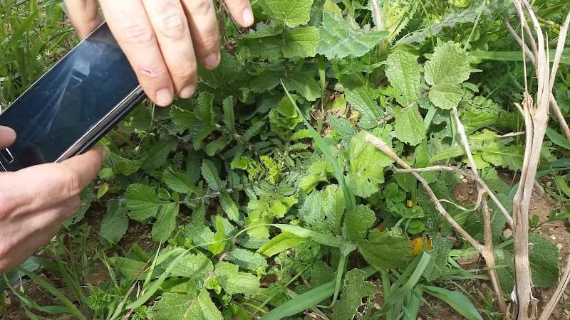 View of Fattoria Biologica Le Bricchiette in Bracciano, Lazio