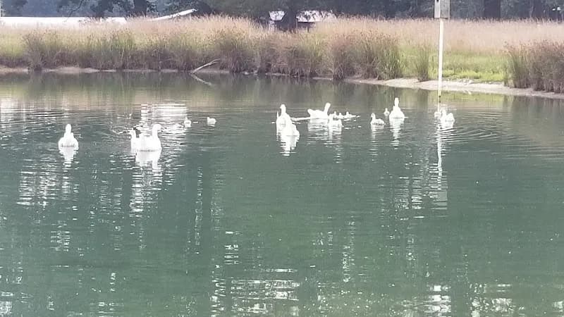 Felicity Farms farm in Yorktown, VA