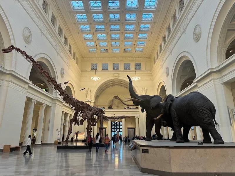 View of Field Museum in Chicago, IL