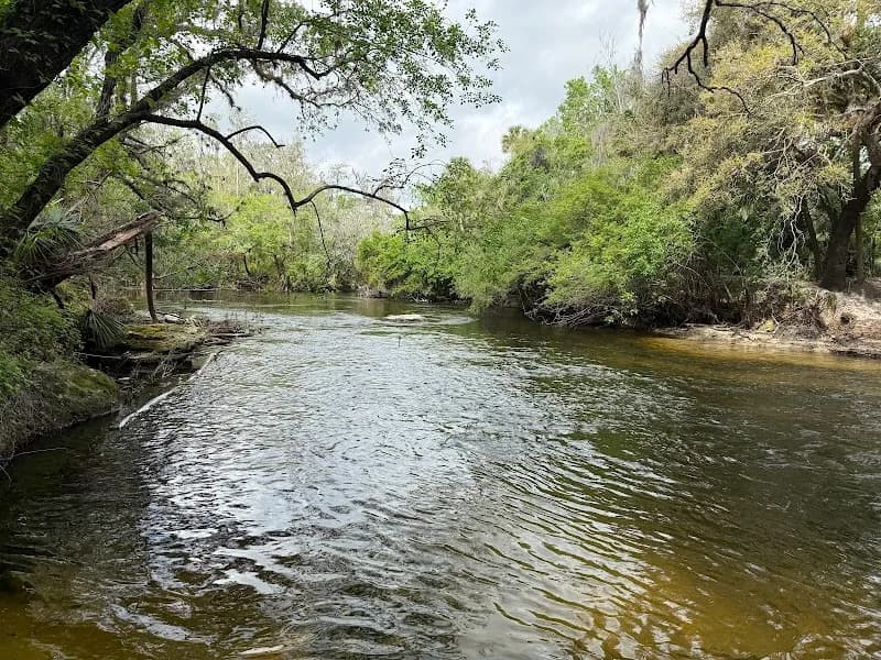 Fishhawk Creek Nature Preserve North nature preserve in Fishhawk, FL