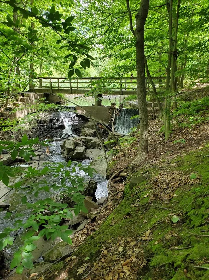 View of Flat Rock Brook Nature Center in Westchester, NY