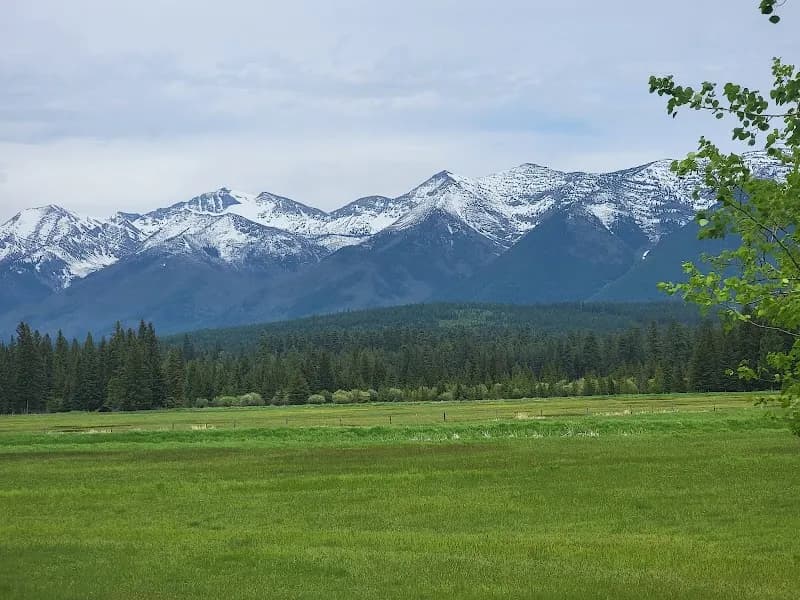 View of Flathead National Forest in Whitefish, MT